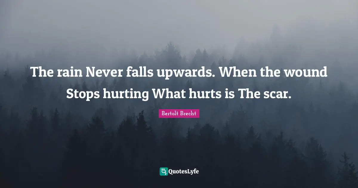 The rain Never falls upwards. When the wound Stops hurting What hurts is The scar.