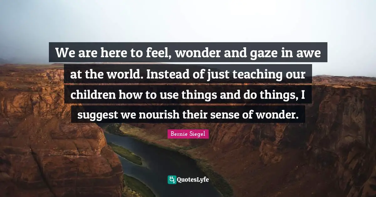 We are here to feel, wonder and gaze in awe at the world. Instead of just teaching our children how to use things and do things, I suggest we nourish their sense of wonder.
