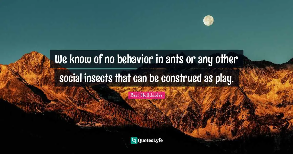 We know of no behavior in ants or any other social insects that can be construed as play.