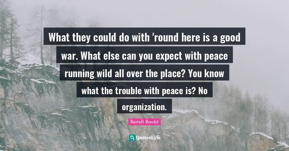 What they could do with 'round here is a good war. What else can you expect with peace running wild all over the place? You know what the trouble with peace is? No organization.