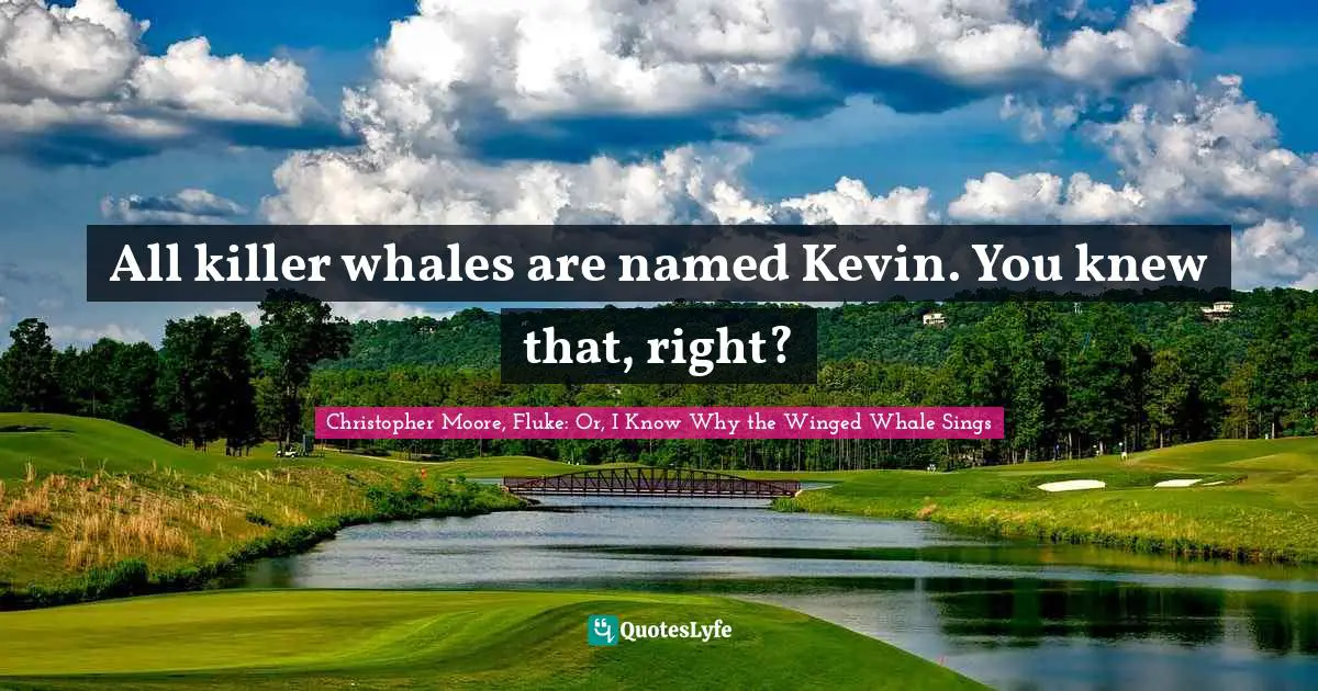 All killer whales are named Kevin. You knew that, right?