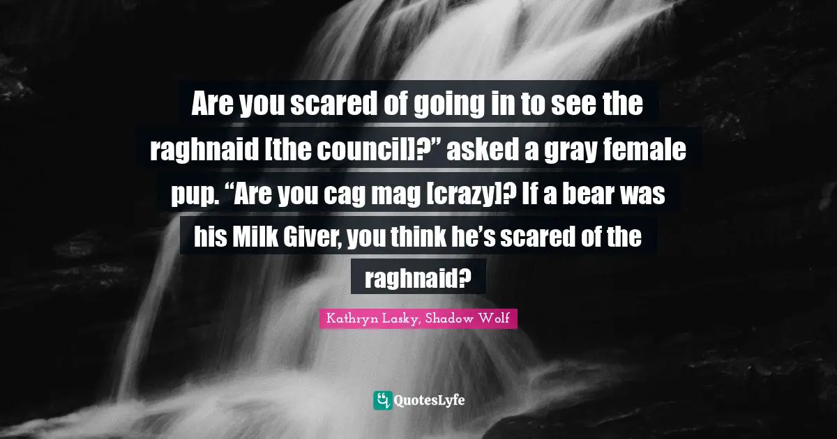 Are you scared of going in to see the raghnaid [the council]?” asked a gray female pup. “Are you cag mag [crazy]? If a bear was his Milk Giver, you think he’s scared of the raghnaid?