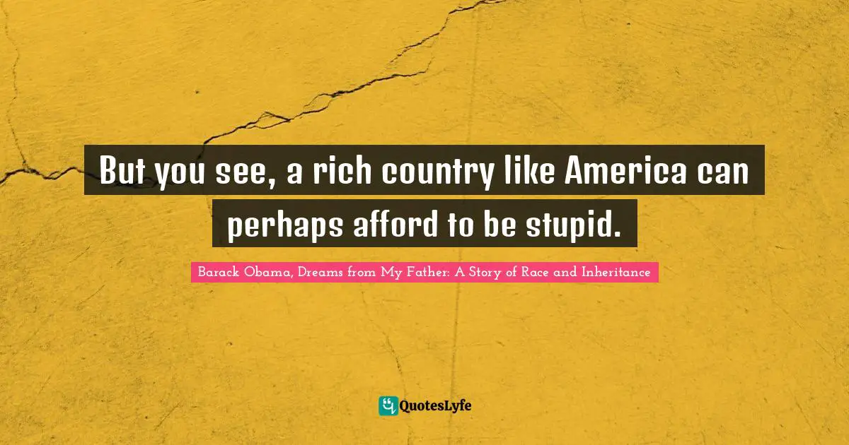 Barack Obama, Dreams From My Father: A Story Of Race And Inheritance Quotes: "But you see, a rich country like America can perhaps afford to be stupid."
