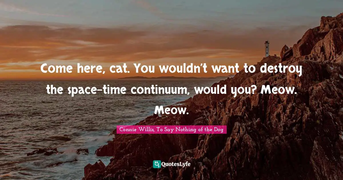 Come here, cat. You wouldn’t want to destroy the space-time continuum, would you? Meow. Meow.