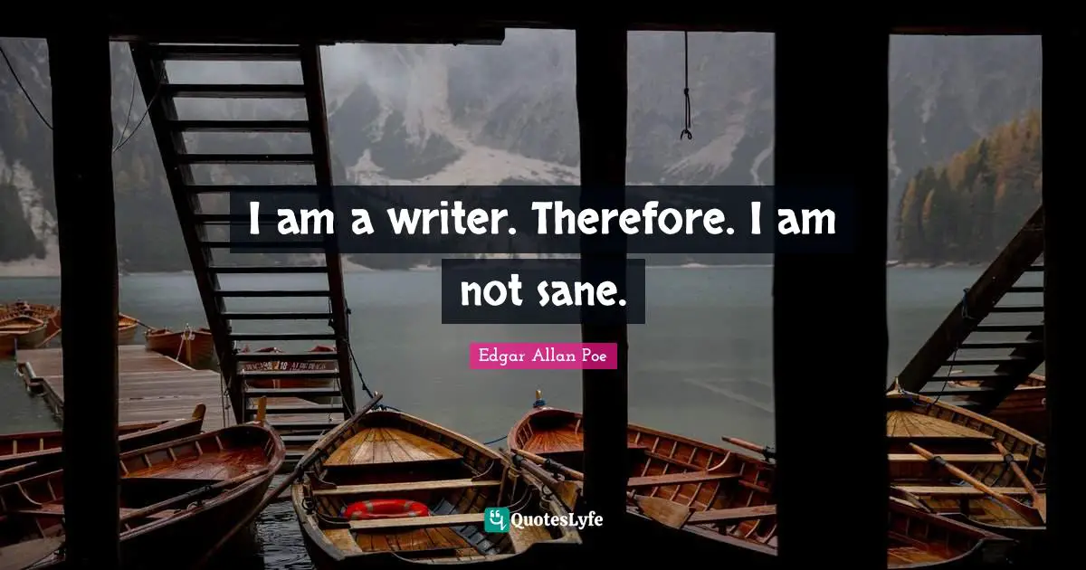 I am a writer. Therefore. I am not sane.