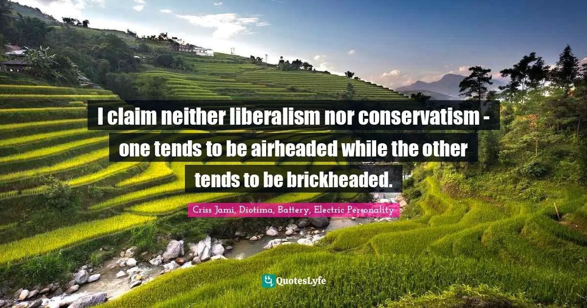 I claim neither liberalism nor conservatism - one tends to be airheaded while the other tends to be brickheaded.