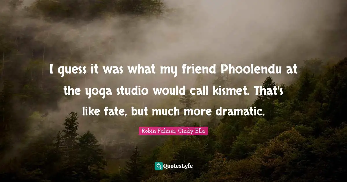 I guess it was what my friend Phoolendu at the yoga studio would call kismet. That's like fate, but much more dramatic.