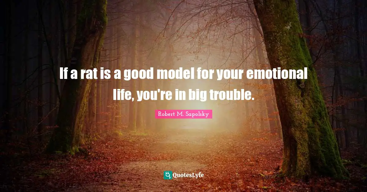 If a rat is a good model for your emotional life, you're in big trouble.