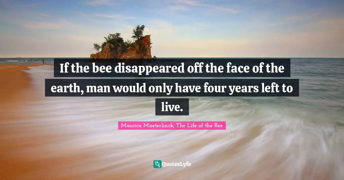Bees Quotes: "If the bee disappeared off the face of the earth, man would only have four years left to live."