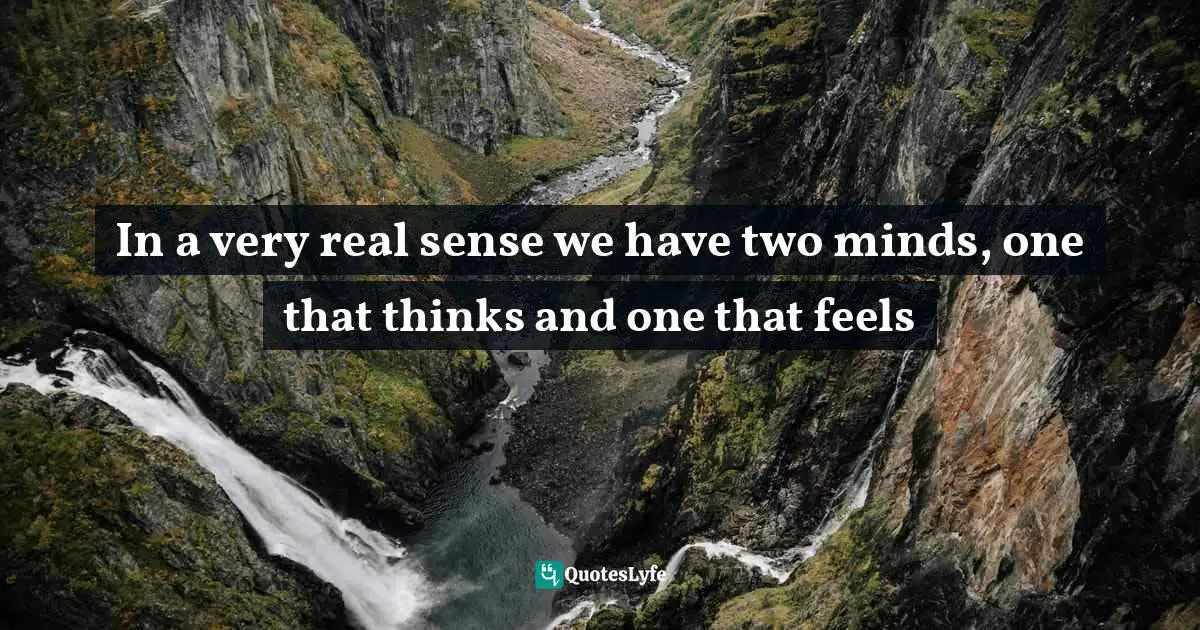 In a very real sense we have two minds, one that thinks and one that feels
