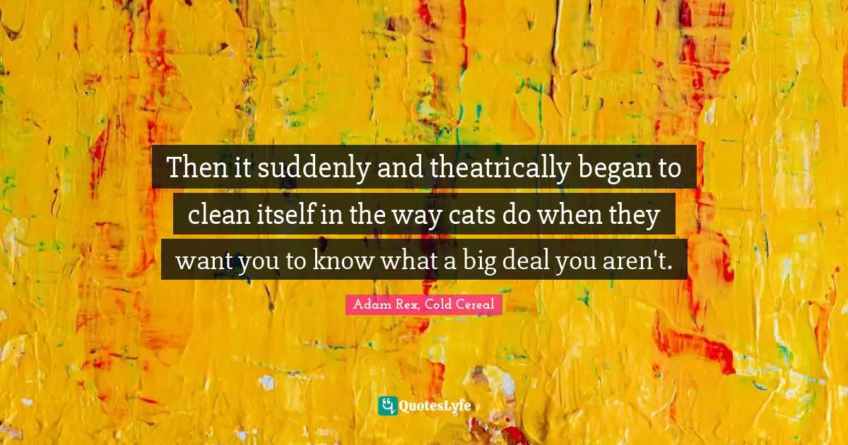 Then it suddenly and theatrically began to clean itself in the way cats do when they want you to know what a big deal you aren't.