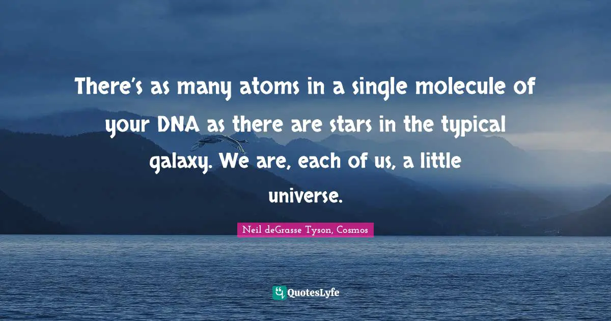 There’s as many atoms in a single molecule of your DNA as there are stars in the typical galaxy. We are, each of us, a little universe.