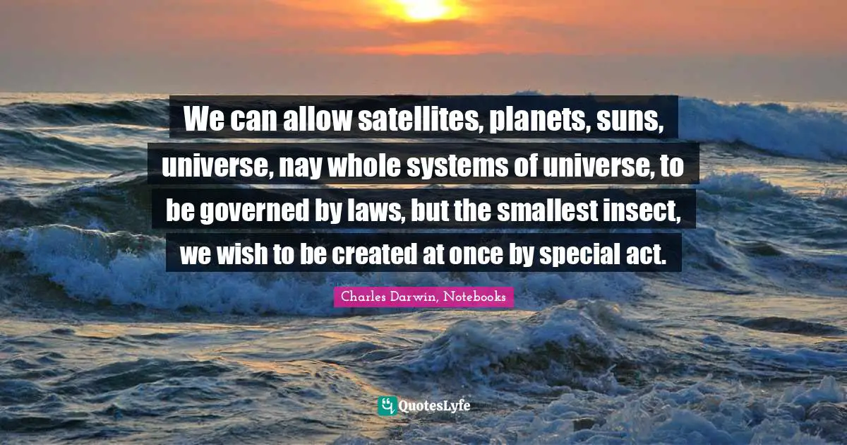 We can allow satellites, planets, suns, universe, nay whole systems of universe, to be governed by laws, but the smallest insect, we wish to be created at once by special act.