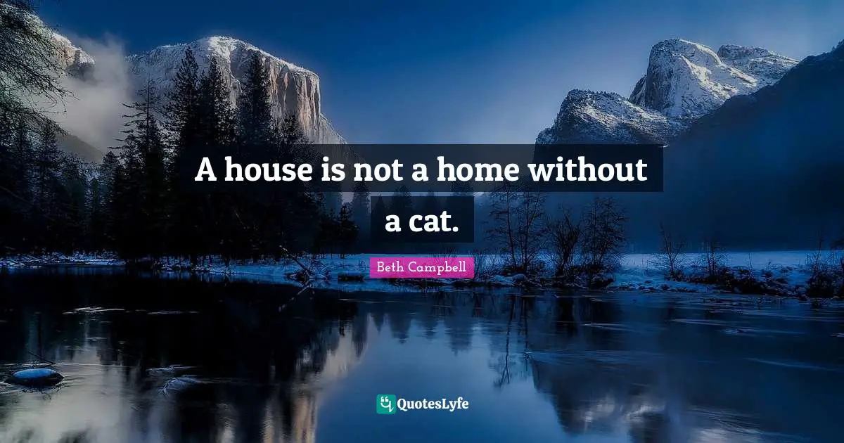 A house is not a home without a cat.