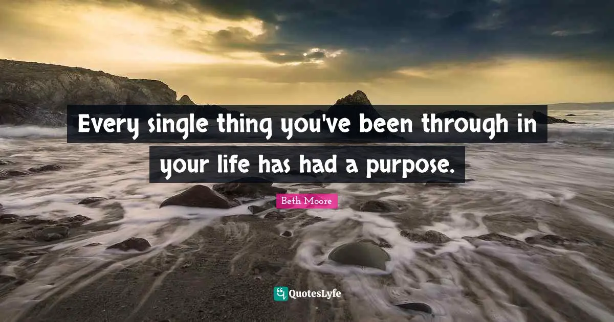 Every single thing you've been through in your life has had a purpose.