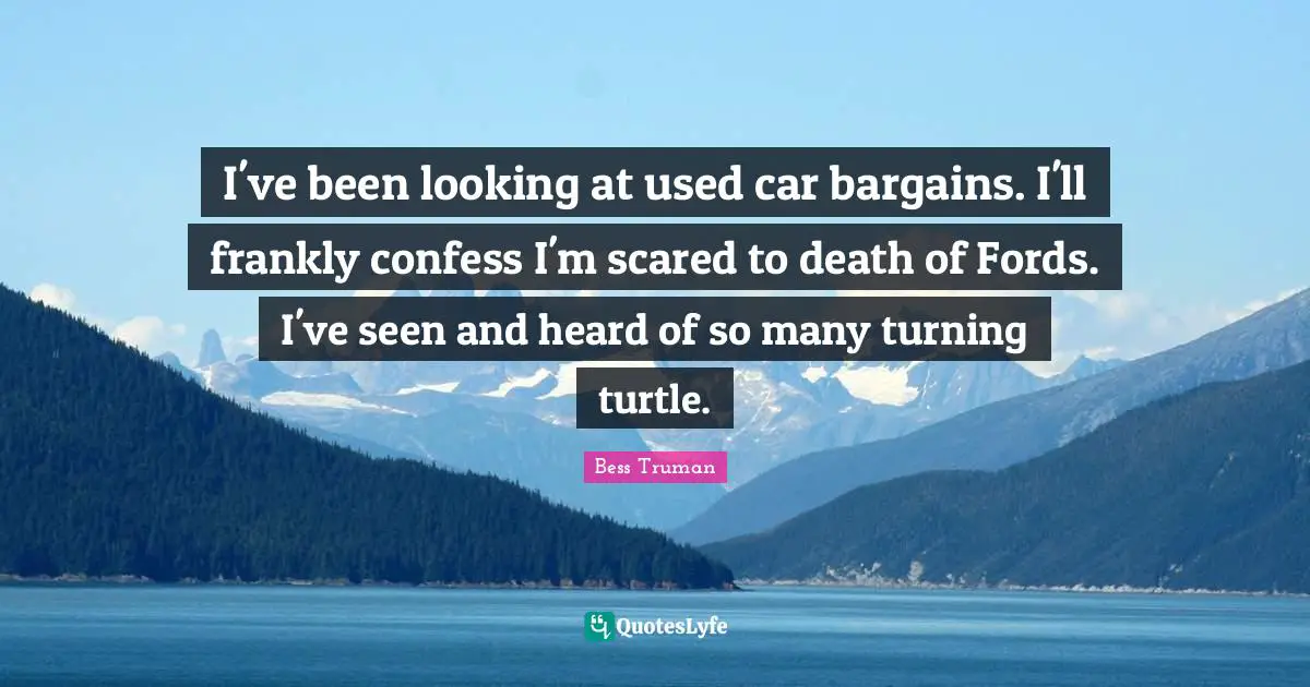 I've been looking at used car bargains. I'll frankly confess I'm scared to death of Fords. I've seen and heard of so many turning turtle.