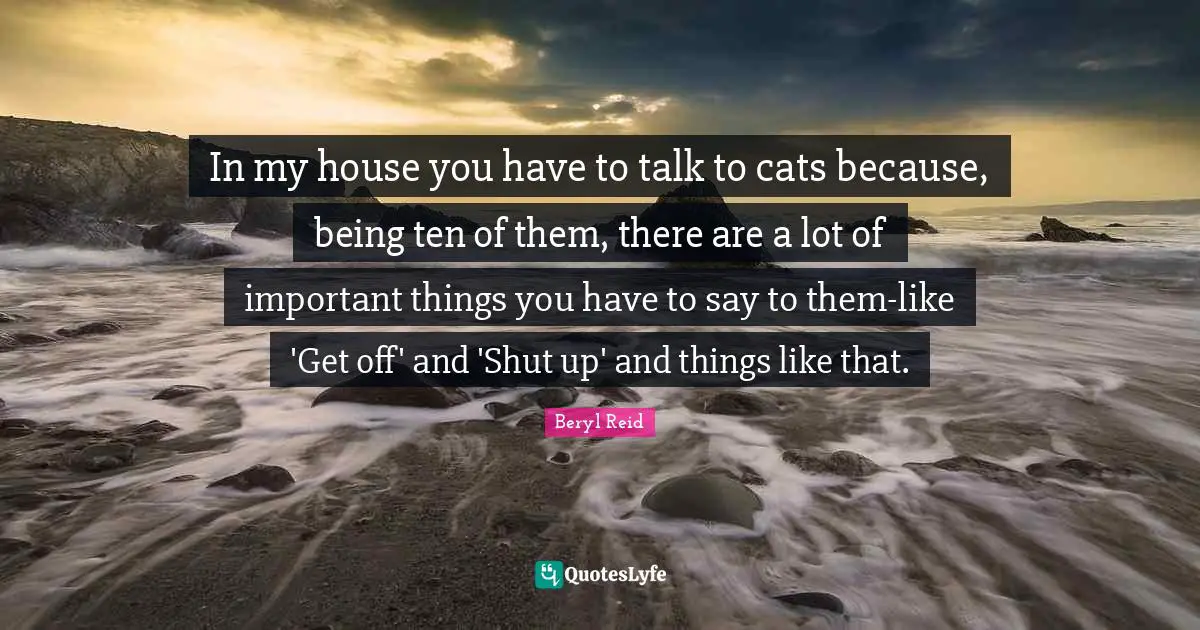 In my house you have to talk to cats because, being ten of them, there are a lot of important things you have to say to them-like 'Get off' and 'Shut up' and things like that.