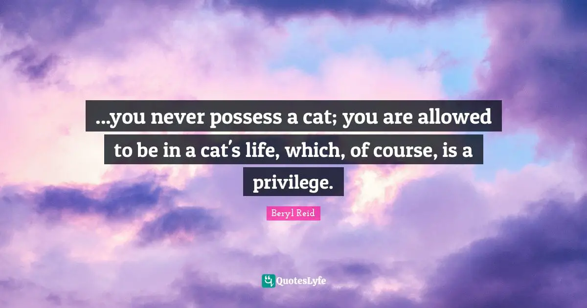...you never possess a cat; you are allowed to be in a cat's life, which, of course, is a privilege.
