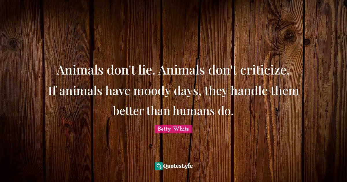 A Lie Quotes: "Animals don't lie. Animals don't criticize. If animals have moody days, they handle them better than humans do."