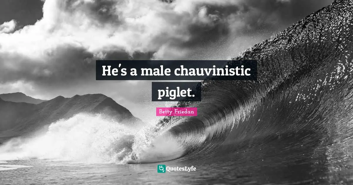 Betty Friedan Quotes: "He's a male chauvinistic piglet."