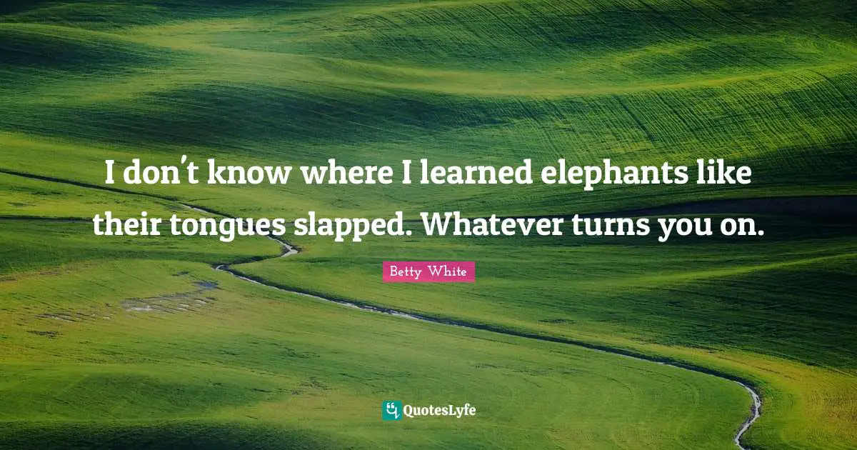 I don't know where I learned elephants like their tongues slapped. Whatever turns you on.