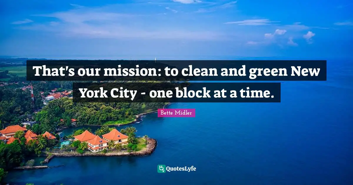 That's our mission: to clean and green New York City - one block at a time.