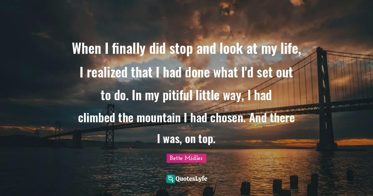 When I finally did stop and look at my life, I realized that I had done what I'd set out to do. In my pitiful little way, I had climbed the mountain I had chosen. And there I was, on top.