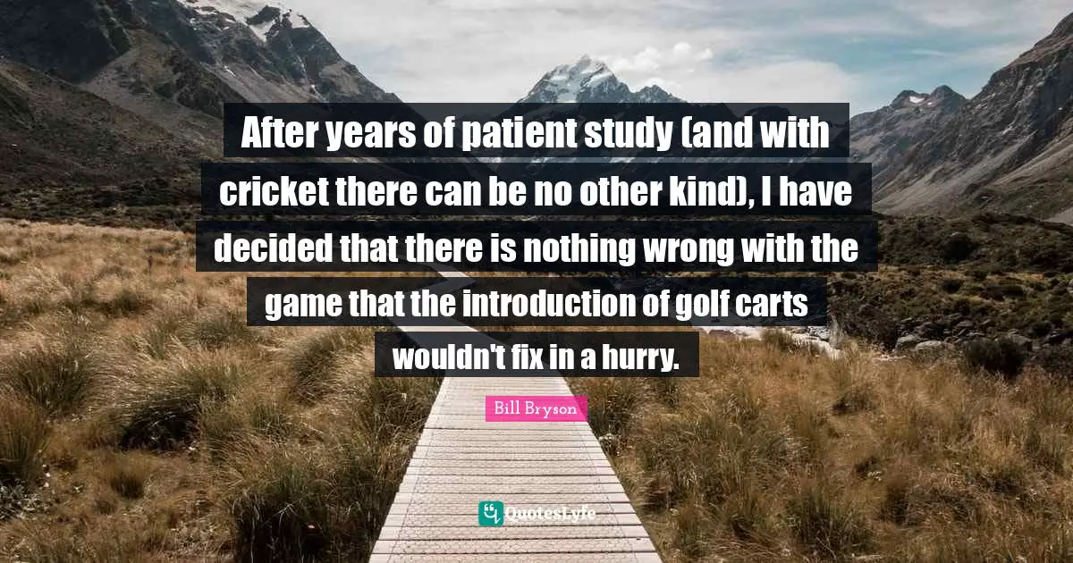 After years of patient study (and with cricket there can be no other kind), I have decided that there is nothing wrong with the game that the introduction of golf carts wouldn't fix in a hurry.