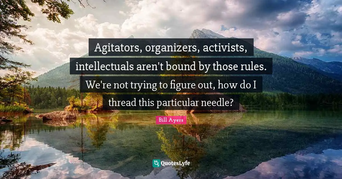 Agitators, organizers, activists, intellectuals aren't bound by those rules. We're not trying to figure out, how do I thread this particular needle?