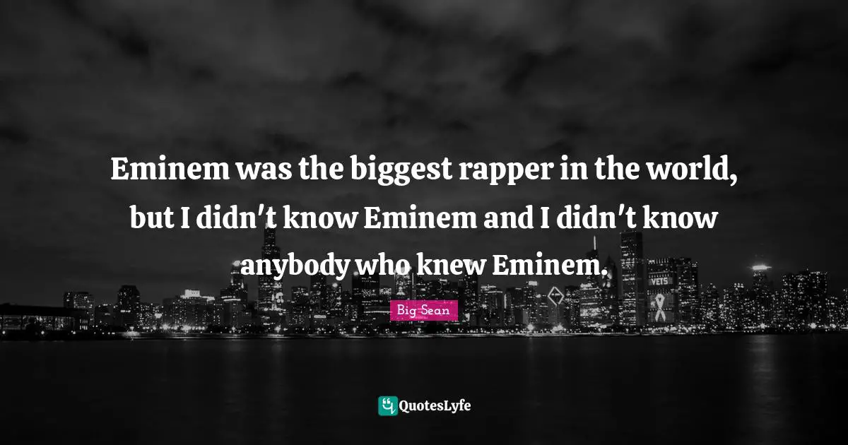 Eminem was the biggest rapper in the world, but I didn't know Eminem and I didn't know anybody who knew Eminem.