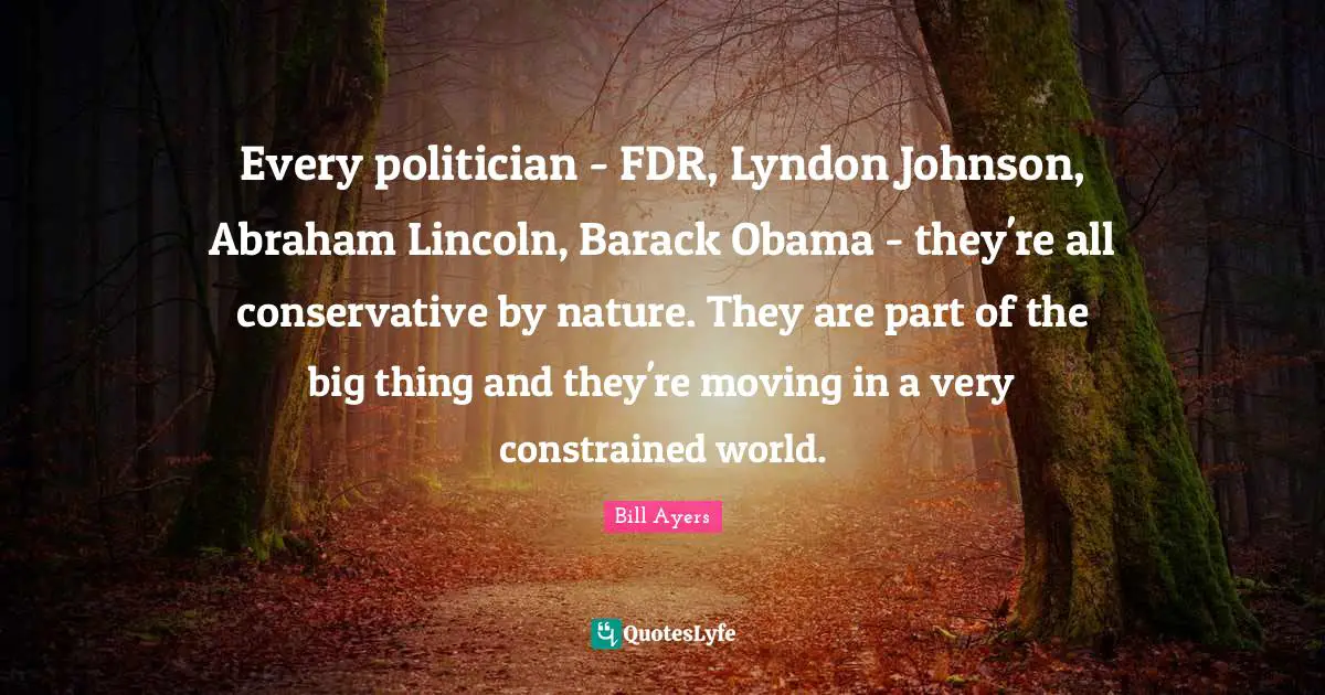Every politician - FDR, Lyndon Johnson, Abraham Lincoln, Barack Obama - they're all conservative by nature. They are part of the big thing and they're moving in a very constrained world.
