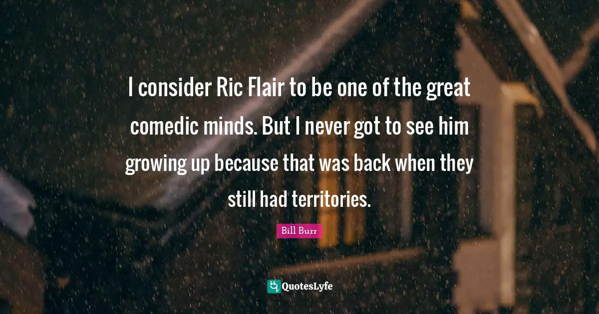 I consider Ric Flair to be one of the great comedic minds. But I never got to see him growing up because that was back when they still had territories.