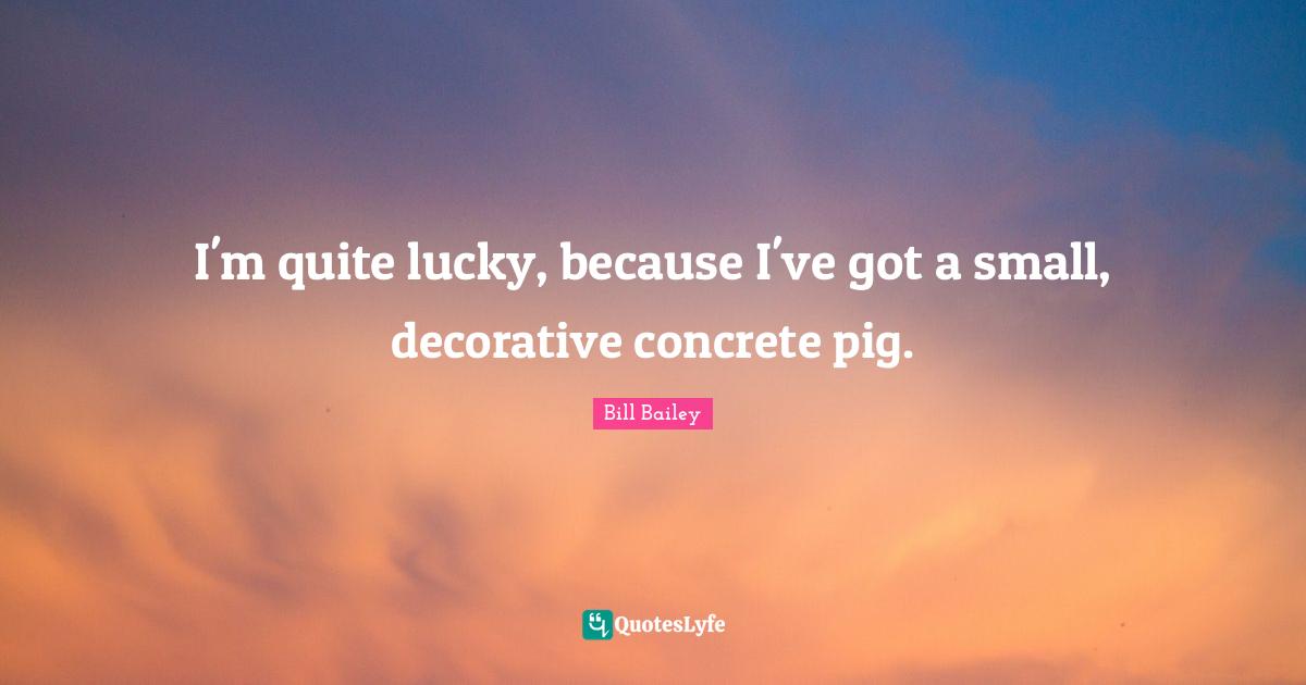 I'm quite lucky, because I've got a small, decorative concrete pig.