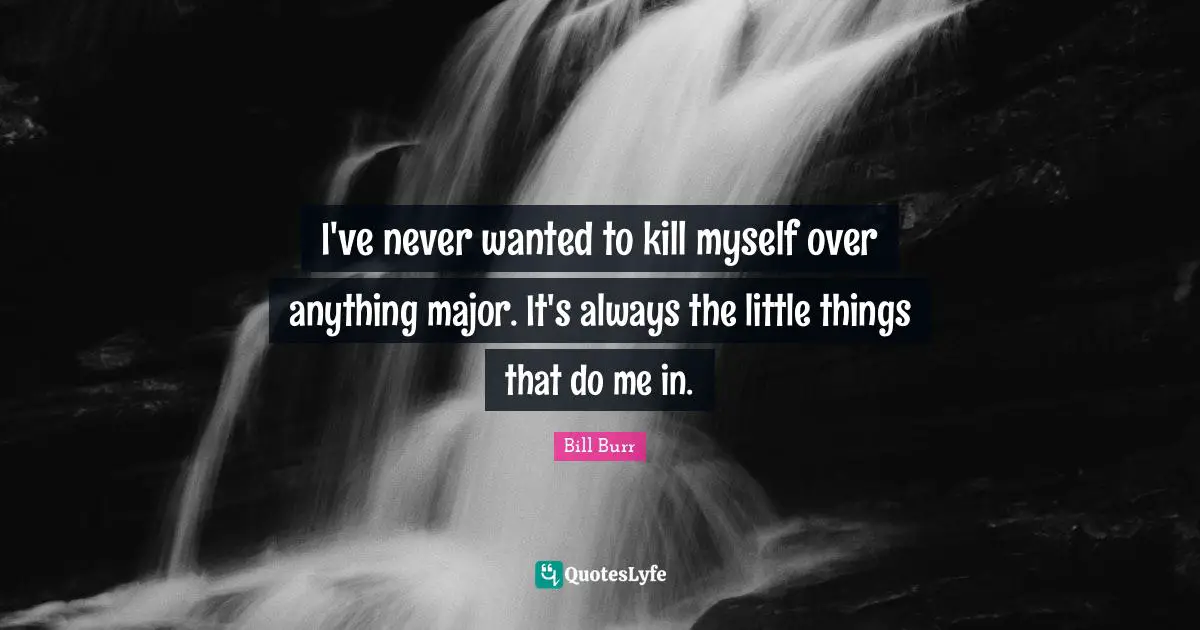 Little Things Quotes: "I've never wanted to kill myself over anything major. It's always the little things that do me in."