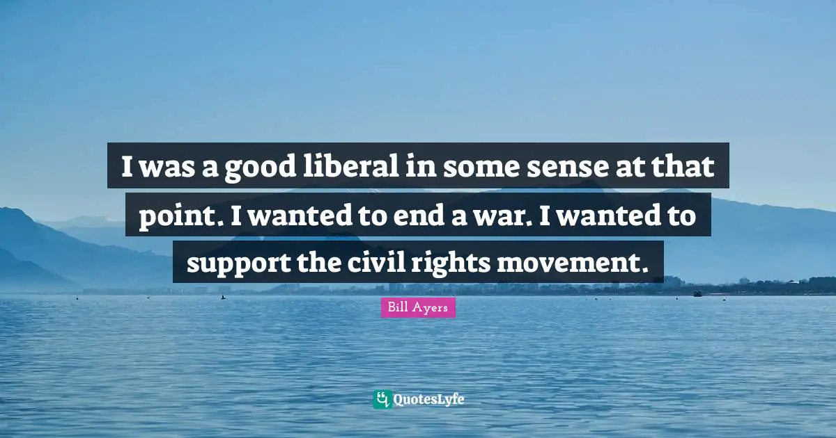 I was a good liberal in some sense at that point. I wanted to end a war. I wanted to support the civil rights movement.