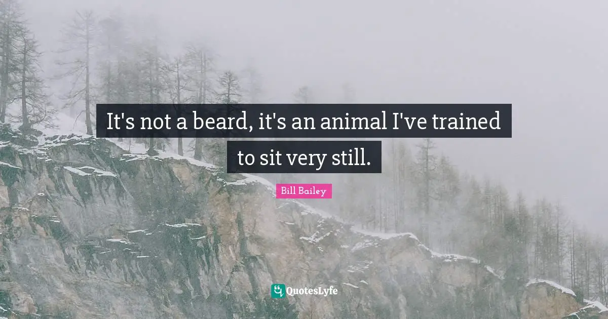 It's not a beard, it's an animal I've trained to sit very still.