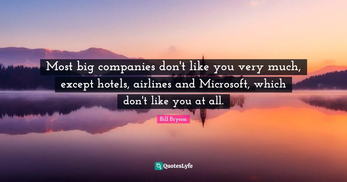 Most big companies don't like you very much, except hotels, airlines and Microsoft, which don't like you at all.