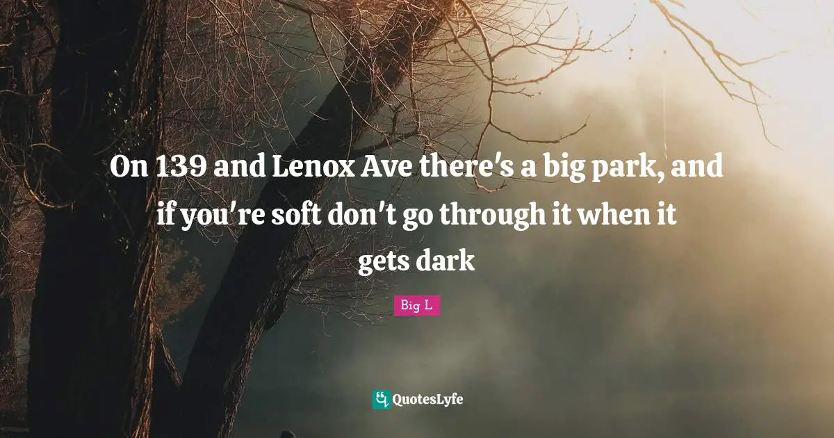 Big L Quotes: "On 139 and Lenox Ave there's a big park, and if you're soft don't go through it when it gets dark"