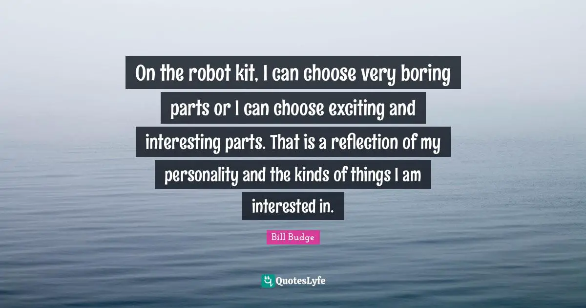 On the robot kit, I can choose very boring parts or I can choose exciting and interesting parts. That is a reflection of my personality and the kinds of things I am interested in.