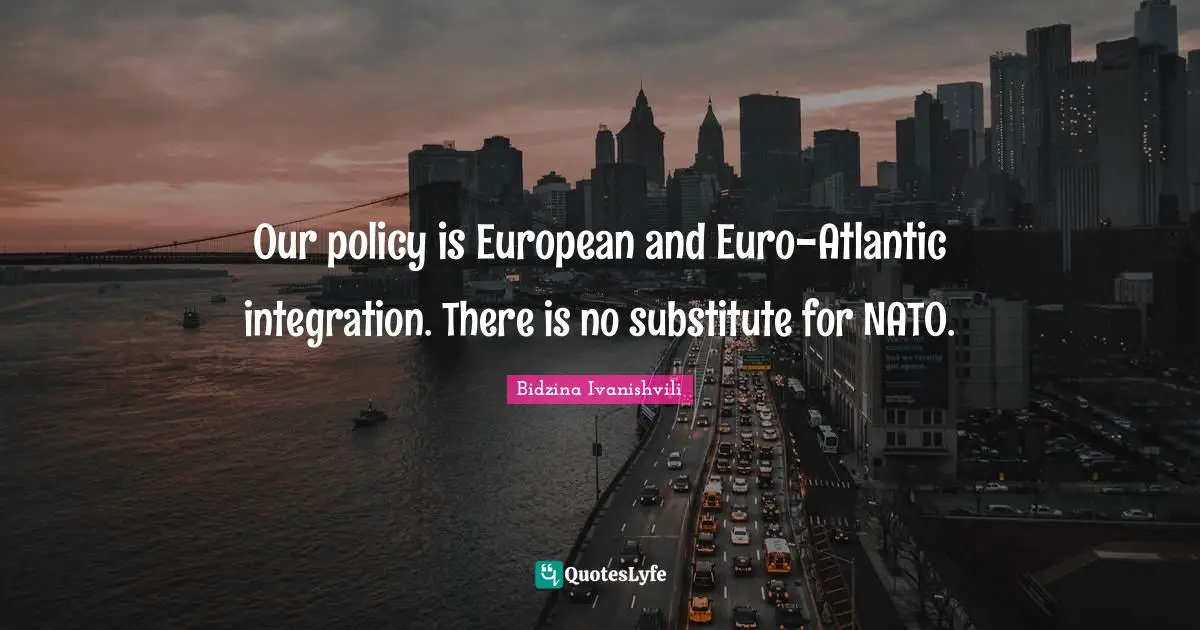 Our policy is European and Euro-Atlantic integration. There is no substitute for NATO.