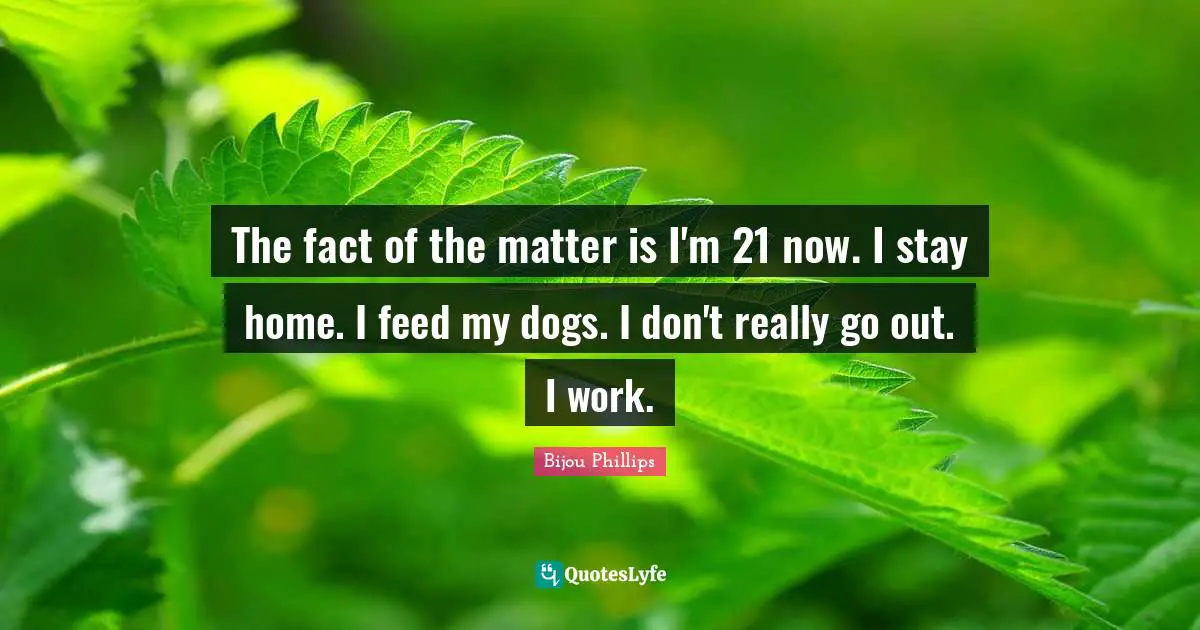 The fact of the matter is I'm 21 now. I stay home. I feed my dogs. I don't really go out. I work.
