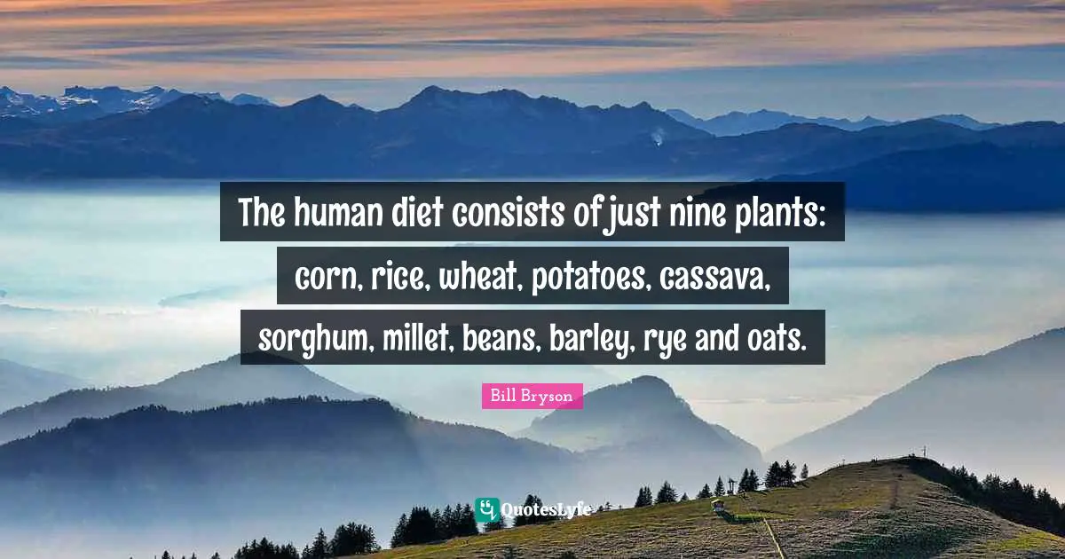 The human diet consists of just nine plants: corn, rice, wheat, potatoes, cassava, sorghum, millet, beans, barley, rye and oats.