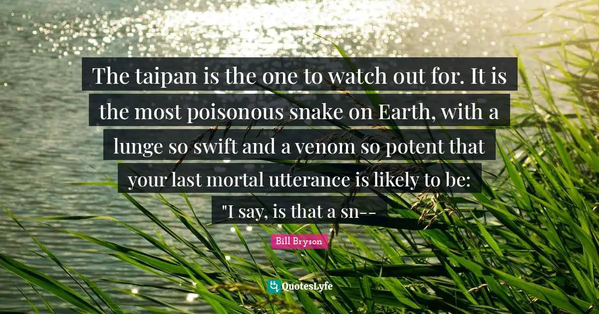 Venom Quotes: "The taipan is the one to watch out for. It is the most poisonous snake on Earth, with a lunge so swift and a venom so potent that your last mortal utterance is likely to be: "I say, is that a sn--"