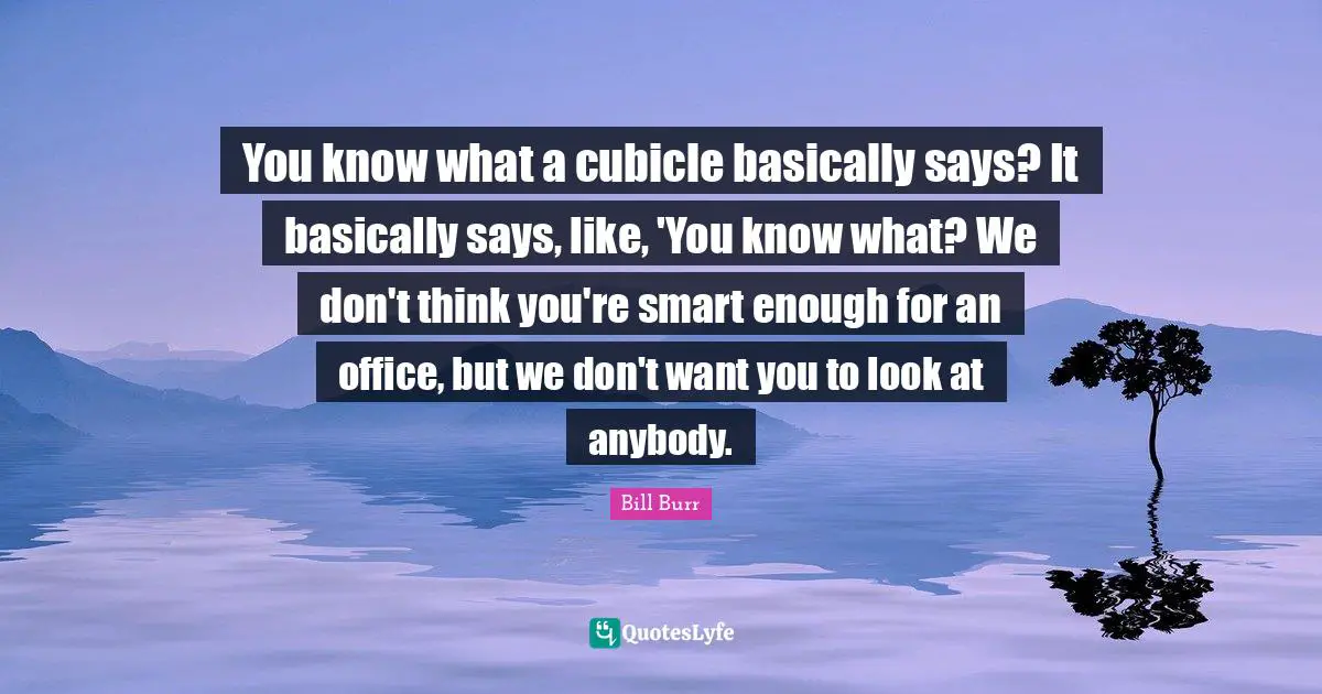 You know what a cubicle basically says? It basically says, like, 'You know what? We don't think you're smart enough for an office, but we don't want you to look at anybody.