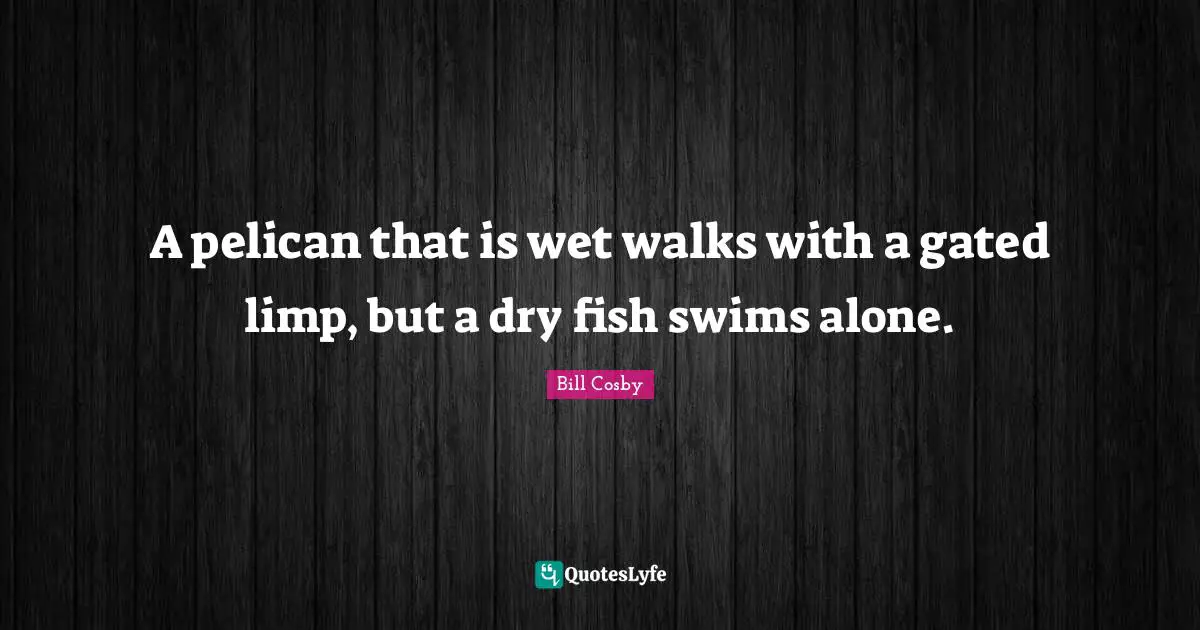 Bill Cosby Quotes: "A pelican that is wet walks with a gated limp, but a dry fish swims alone."
