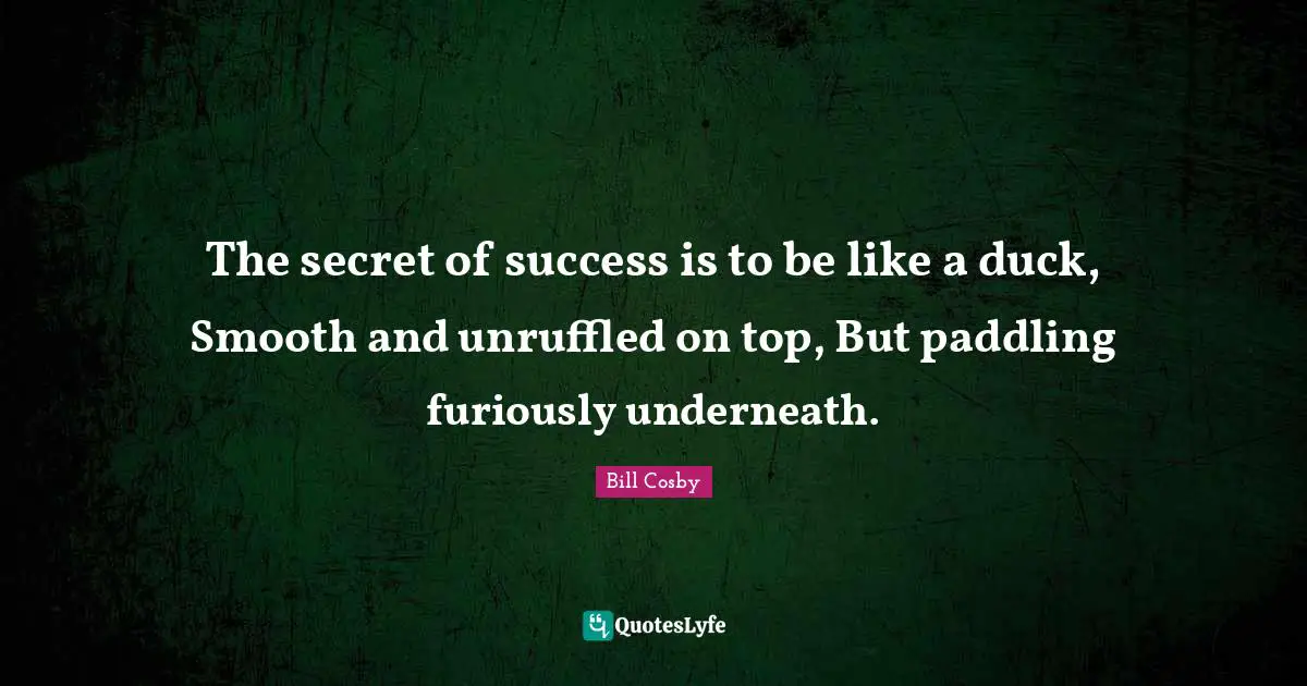 The secret of success is to be like a duck, Smooth and unruffled on top, But paddling furiously underneath.
