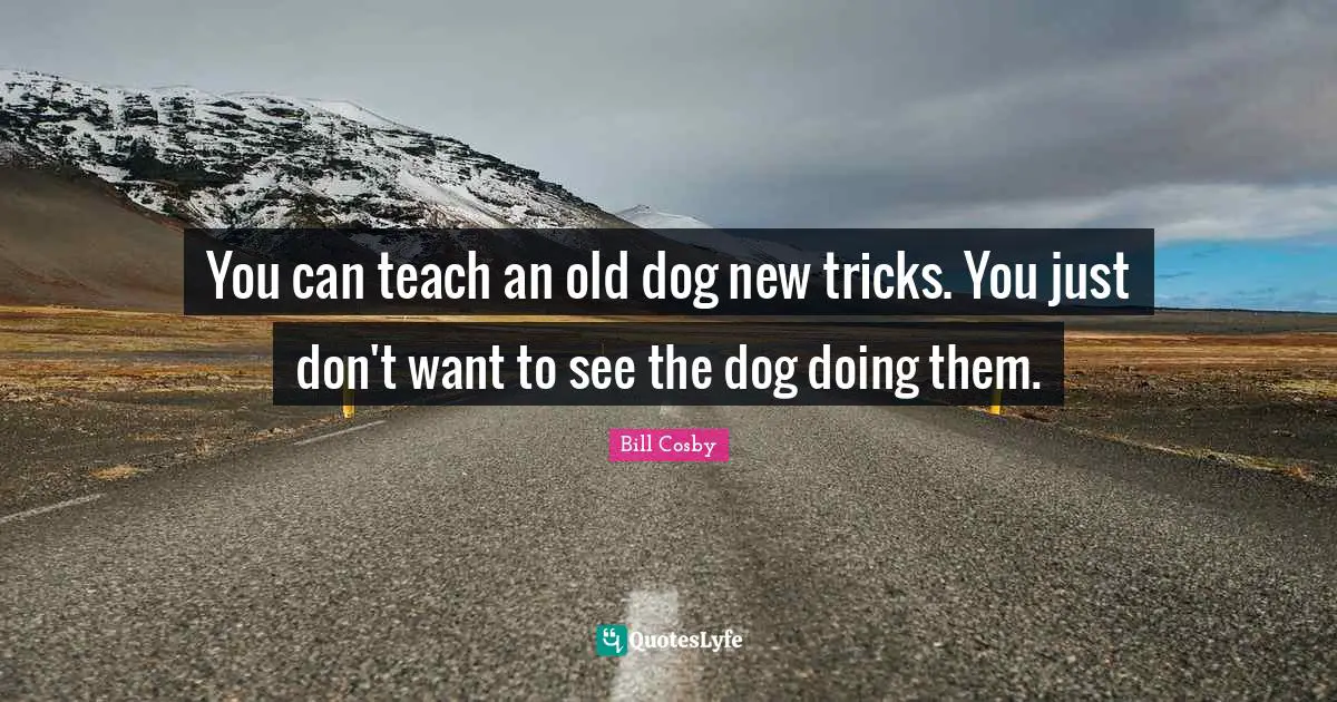 You can teach an old dog new tricks. You just don't want to see the dog doing them.