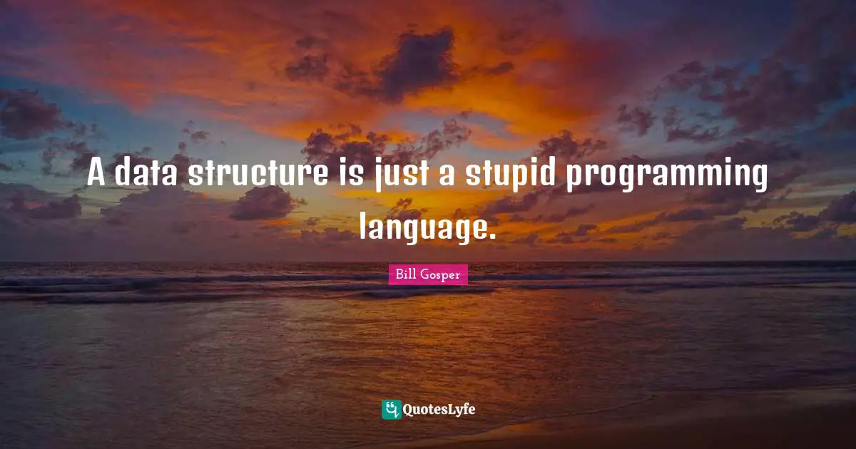 A data structure is just a stupid programming language.