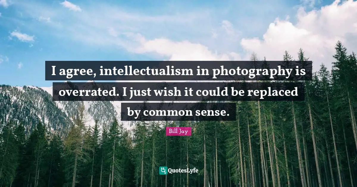 I agree, intellectualism in photography is overrated. I just wish it could be replaced by common sense.