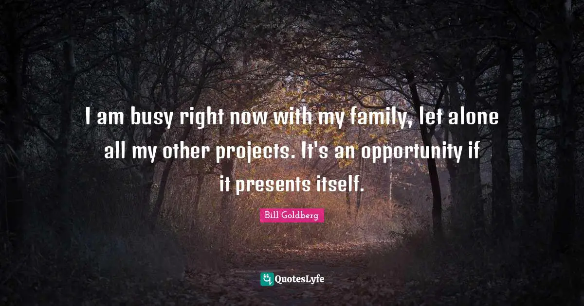 I am busy right now with my family, let alone all my other projects. It's an opportunity if it presents itself.